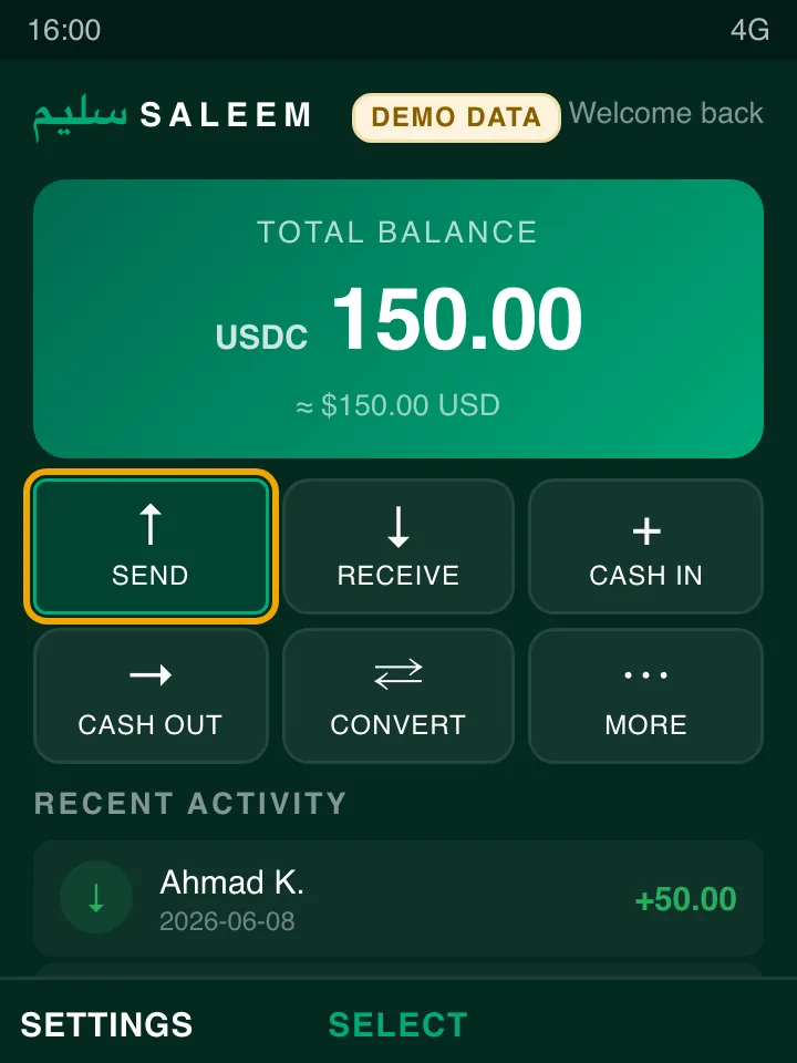 Saleem KaiOS feature-phone wallet home screen with balance card